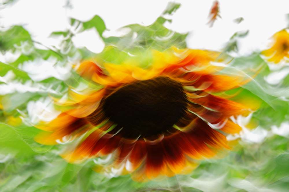 3. Platz Roland Menigat